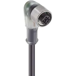 5 Stk. Belden Kupplg.m.Schraubv.+LED,gew RKWT/LED P4-07/5m 11540