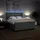 vidaXL Boxspringbett 180 x 200 cm Dunkelgrau