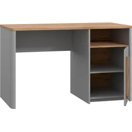 Forte Schreibtisch grau ¦ Maße (cm): B: 120 H: 73,8 T: 58.7
