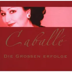 Die großen Erfolge | Zustand: Neu & original versiegelt