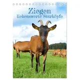 Calvendo Ziegen - liebenswerte Sturköpfe (Tischkalender 2026 DIN A5 hoch), CALVENDO Monatskalender