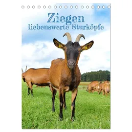 Calvendo Ziegen - liebenswerte Sturköpfe (Tischkalender 2026 DIN A5 hoch), CALVENDO Monatskalender