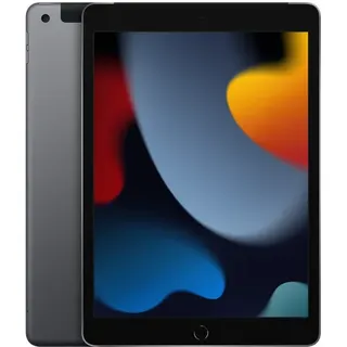 256 GB Wi-Fi + Cellular space grau