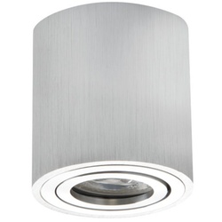 Kanlux schlichte Deckenleuchte DUCE max. 50W, rund, silber