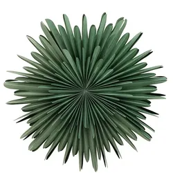 Ebuy24 Sälen Weihnachtsstern mit Licht Papier Ø80 cm Pendelleuchte grün.