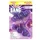 CILLIT BANG 6 In 1 WC Wilde Orchidee Duo 1 x 2 St.