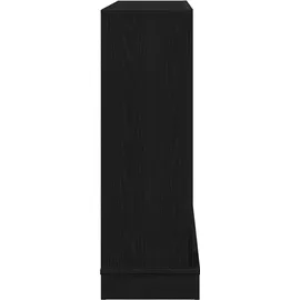 vidaXL Kaminumrandung 100 x 30 x 87,5 cm Schwarz