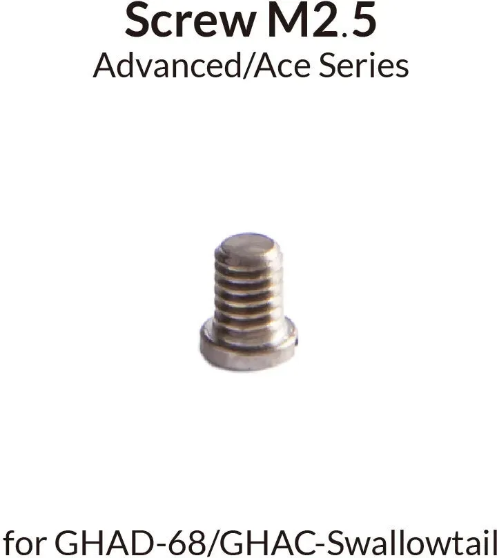 Gaahleri 41291 Screw M2 5 for 68 & Sw