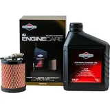 Briggs & Stratton Motorpflege-Kit Modell 21, Series 3