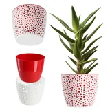 Kadax 21 x 21 x 17,9 cm Rot