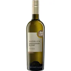 Alde Gott Winzer Schwarzwald 2023 Sauvignon Blanc 