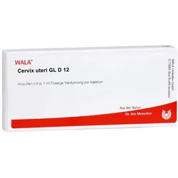 Cervix Uteri Gl D12 Ampullen