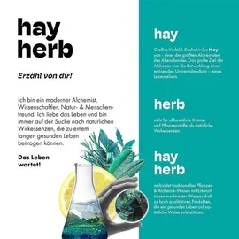 hay herb Longevity Komplex Kapseln 60 Stk.