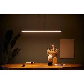 Steinhauer LED-Hängeleuchte Zelena, Länge 122cm, schwarz