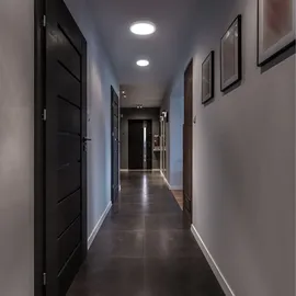 B.K.Licht - LED Deckenlampe mit neutralweißer Lichtfarbe, 12 Watt, 1200 Lumen, LED Deckenleuchte, Lampe, Wohnzimmerlampe, Schlafzimmerlampe, Küchenlampe, Deckenbeleuchtung, 25x5,2 cm, Silberfarbig
