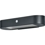 LEDVANCE ENDURA Style Oval Solar-Wandleuchte, kaltweißes Licht (4000K),