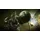 Rebellion, Zombie Army 4: Dead War