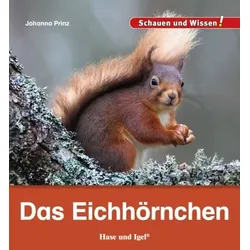 Das Eichhörnchen