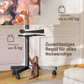 ONKRON TS1137-B TV-Ständer 23-60 Zoll 40 kg Schwarz