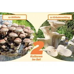 Bio Pilzzucht-Pärchen 2 Sorten ein Set" Kräuterseitling + Shiitake"