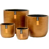 Capi Europe Capi 4-tlg. Komplettset Ø 20 x 20 cm Gold