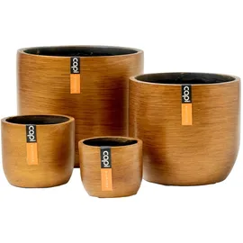 Capi Europe Capi 4-tlg. Komplettset Ø 20 x 20 cm Gold