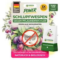 green guardia Schlupfwespen gegen Pflaumenwickler Pheromonfalle 3 Karten