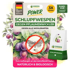 green guardia Schlupfwespen gegen Pflaumenwickler Pheromonfalle 3 Karten