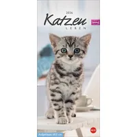 Heye Kalender Whiskas Katzenleben Kalender Kalender - Kalender 2026