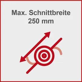 SCHEPPACH EGT350 inkl. 3 x Ersatzfadenspule