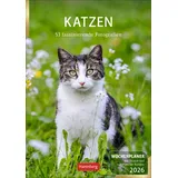Harenberg Katzen Wochenplaner 2026 - 53 faszinierende Fotografien