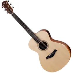Taylor Academy 12e LH