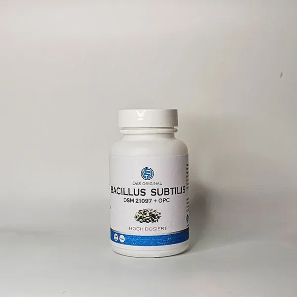 Bacillus subtilis Kapseln 