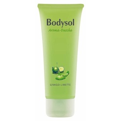 Bodysol Aromadusche Ginkgo-Limette