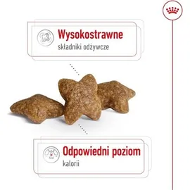 Royal Canin Mini Adult 800 g