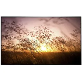 Papermoon Sommer trockenes Gras 600 W bunt