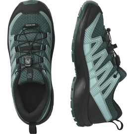 Salomon Xa Pro V8 Hiking Shoes Grün EU 40