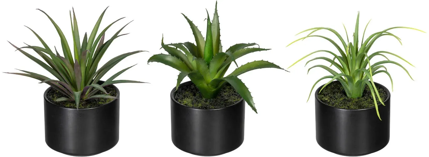 Künstliche Zimmerpflanze CREATIV GREEN 