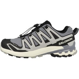 Salomon Herren XA Pro 3D V9 GTX Schuhe (Größe 44.5 , grau)