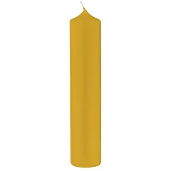 Kopschitz Kerzen 8 Altar Kerzen Senf Mustard 40 x 4 cm im XXL Format