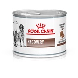 Royal Canin Recovery Canine & Feline 12 x 195 g