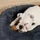 Songmics Hundebett Donut 80 cm grau