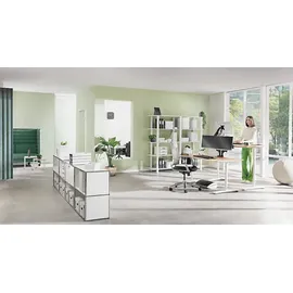 Leitz Ergo Platzsparender Dual Monitorarm Schwenkarm Grau