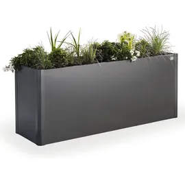 Biohort Belvedere Midi 200 201 x 53 x 61 cm dunkelgrau-metallic