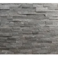 Euro Stone Verblendstein Schiefer Schwarz