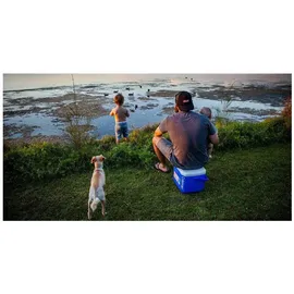 Coleman Kühlbox Excursion 15 l