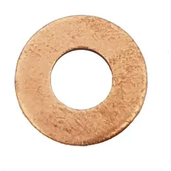 PLANET TECH Wärmeschutzscheibe, Einspritzanlage PEUGEOT,CITROËN,LAND ROVER PL6052 198145,198170