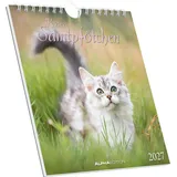 Neumann Kleine Samtpfötchen 2027