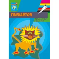PVP Tonkarton A3 10 Blatt farbig sort. 220g 3341