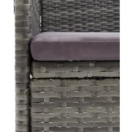 vidaXL Polyrattan Garten-Set 313100 9-tlg. grau